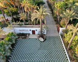 Oasis en San José del Cabo: Jardin Tropical - Image 3