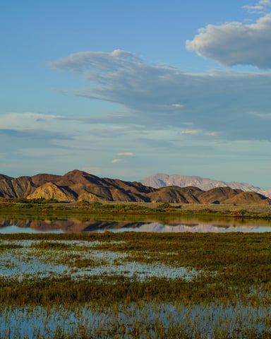 Estero San José lagoon with mountains reflected in still water at dusk