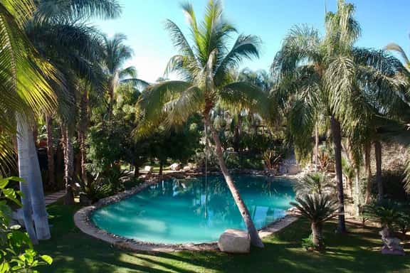 Oasis en San José del Cabo: Jardin Tropical - Image 1