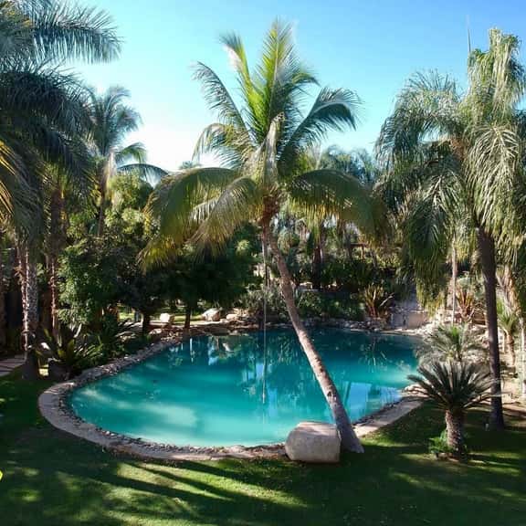 Oasis en San José del Cabo: Jardin Tropical - Image 1