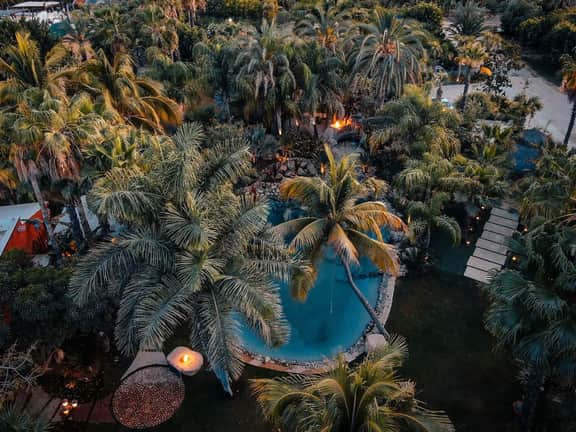 Oasis en San José del Cabo: Jardin Tropical - Image 2